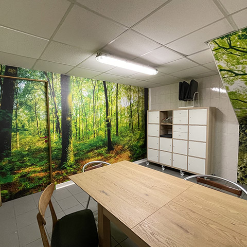 portfolio local_professionnel